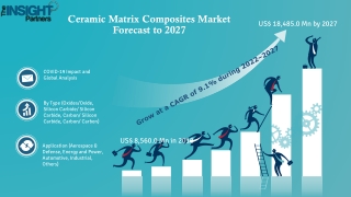 Ceramic Matrix Composites Market Huge Growth Opportunity between 2022-2028