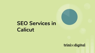 SEO Services in Calicut