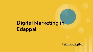 Best Digital Marketing in Edappal