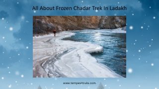 All About Frozen Chadar Trek In Ladakh