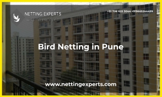 Bird Netting in Pune