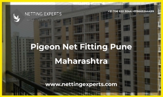 Pigeon Net Fitting Pune Maharashtra