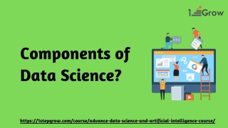 components of data Science