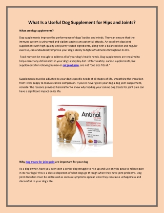 What Is a Useful Dog Supplement for Hips and Joints