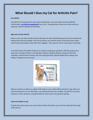 What Should I Give my Cat for Arthritis Pain