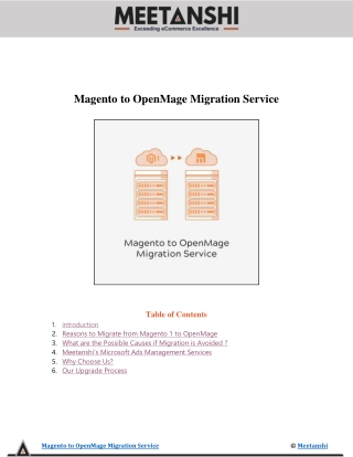 Magento to OpenMage Migration Service