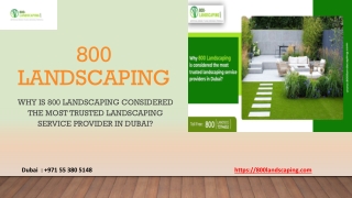 Why is 800 Landscaping considered the most trusted landscaping service provider in Dubai