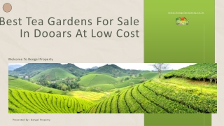 Best Tea Gardens For Sale In Dooars At Low Cost