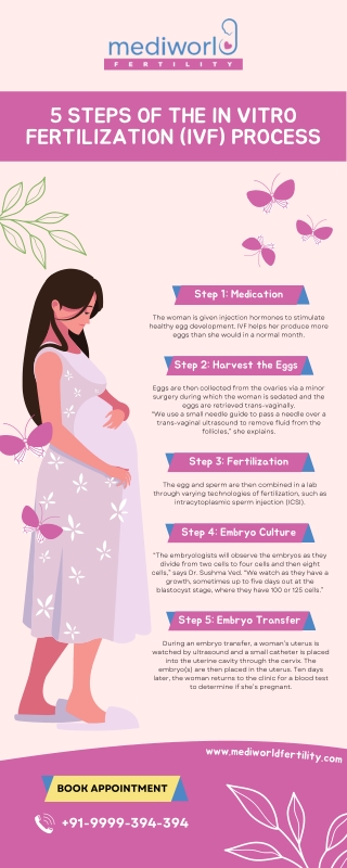 IVF Treatment Procedure at Mediworld PDF