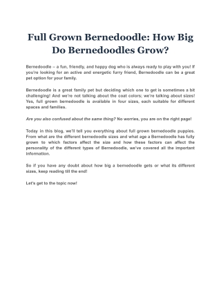 Full Grown Bernedoodle: How Big Do Bernedoodles Grow?