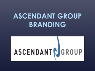 Constructive growth in all areas of growth with CEO Branding