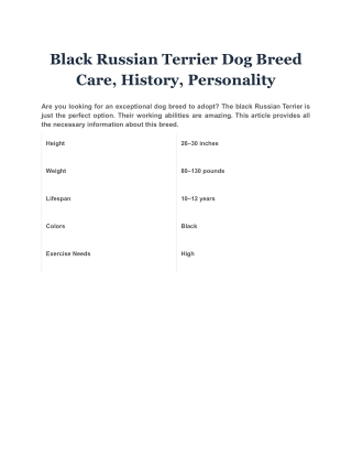 Black Russian Terrier Dog Breed Care, History, Personality