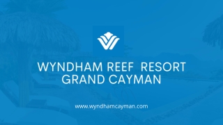 Best Scuba Diving Packages | Wyndham Reef Resort Grand Cayman