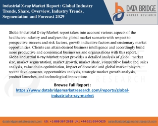 Industrial X-ray Market report