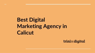 Best Digital Marketing Agency in Calicut