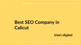 Best SEO Company in Calicut | SEO Service
