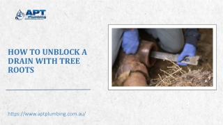 How To Unblock A Drain With Tree Roots