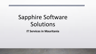 IT Services Provider in Mauritania | Software Development Services