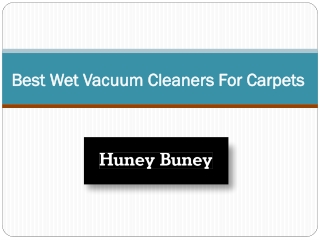 Best Wet Vacuum Cleaners For Carpets