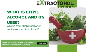 What Is Ethyl Alcohol and Its Uses