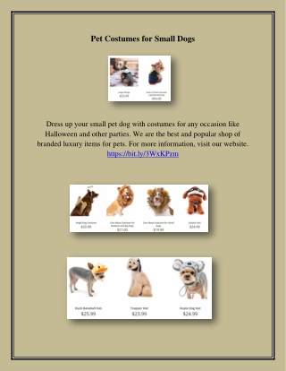 Pet Costumes for Small Dogs