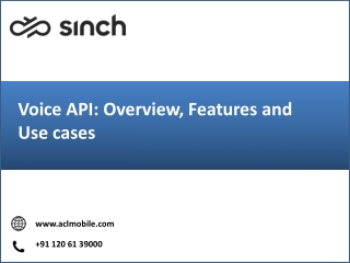 Voice API: Overview, Features and Use cases