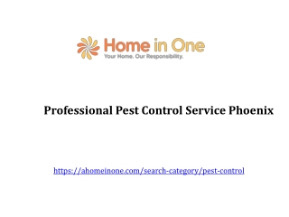 Best Pest Control Service Phoenix