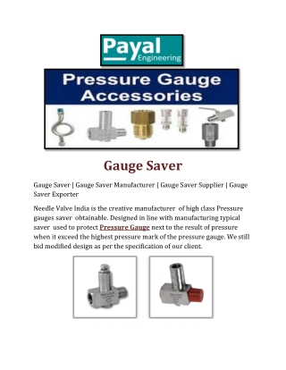 Gauge Saver payal