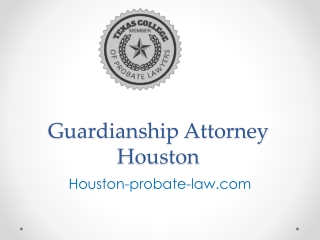 Guardianship Attorney Houston - Houston-probate-law.com