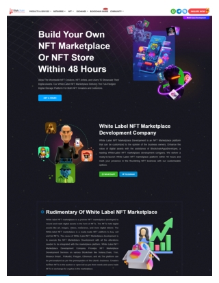 White Label NFT Marketplace Development Company - Build Your Own NFT Marketplace