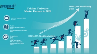 Calcium Carbonate Market