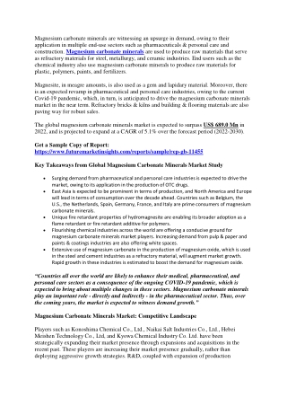 Magnesium Carbonate Minerals Market Size & Share | Industry Trends Analysis