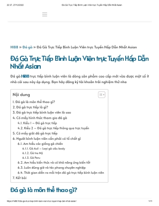 Trực tiếp đá gà là gì? Cách xem đá gà trực tuyến