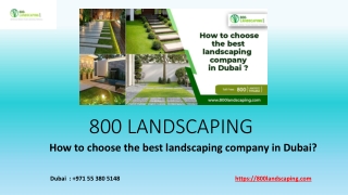 How to choose the best landscaping company in Dubai