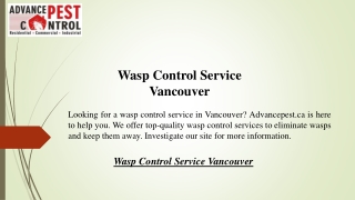 Wasp Control Service Vancouver  Advancepest.ca