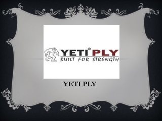 Plywood Suppliers In India  Yeti ply