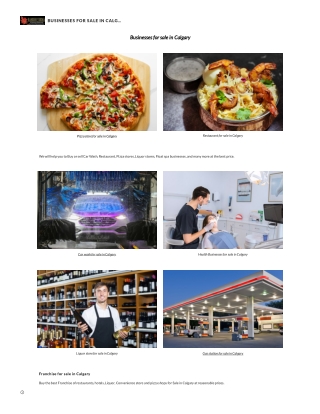 Businesses for Sale in Calgary-findbusiness4sale.ca
