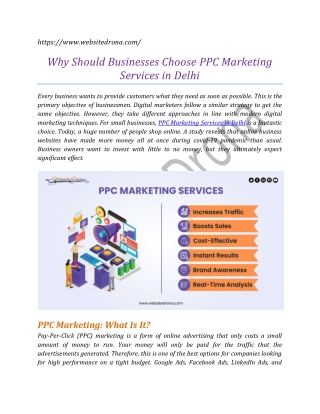 Why Should Businesses Choose PPC Marketing Services in Delhi