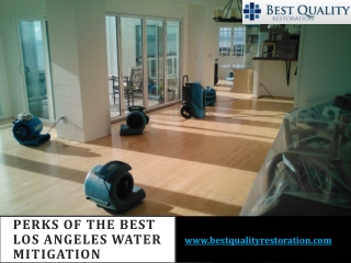 Perks of The Best Los Angeles Water Mitigation