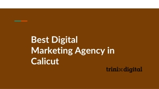 Best Digital Marketing Agency in Calicut