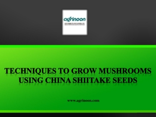 Techniques to Grow Mushrooms Using China Shiitake Seeds