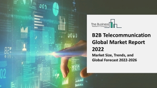 B2B Telecommunication Market
