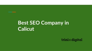 Best SEO Company in Calicut