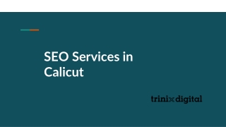 SEO Services in Calicut