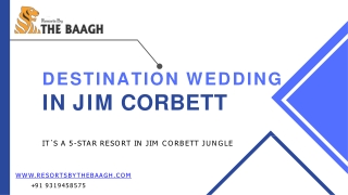 Destination wedding in jim corbett