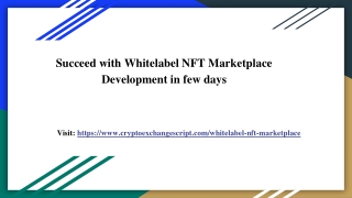 White Label NFT Marketplace Development within 48 hours