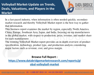 global-volleyball-market