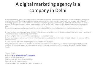 A digital marketing agency is a company in