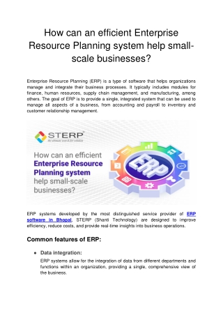 How can an efficient Enterprise Resource Planning system help small-scale busine