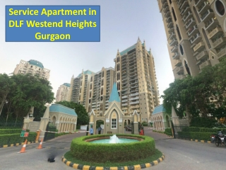 Service Apartment in DLF Westend Heights Gurgaon | DLF Westend Heights Gurgaon